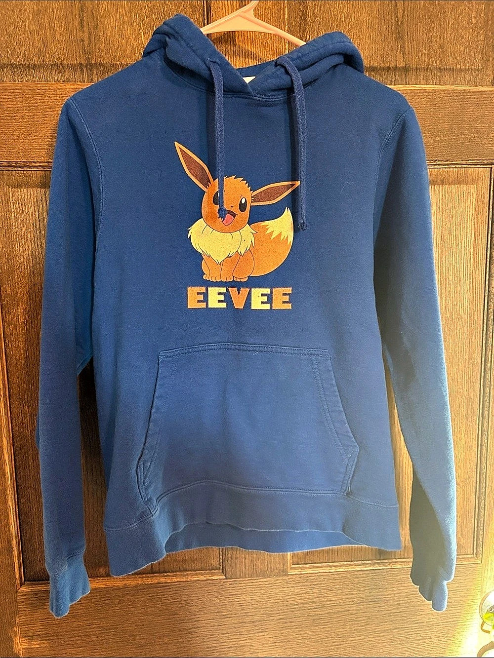 Pokémon Eevee Graphic Pullover Hoodie Blue & Orange Small